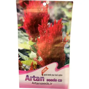 بذر گل آرتان مدل تاج خروس دم روباهی بسته 20 گرمی