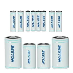  باتری لیتیومی قابل شارژ بستون مدل USB-TYPE LI-ION مجموعه 12 عددی 