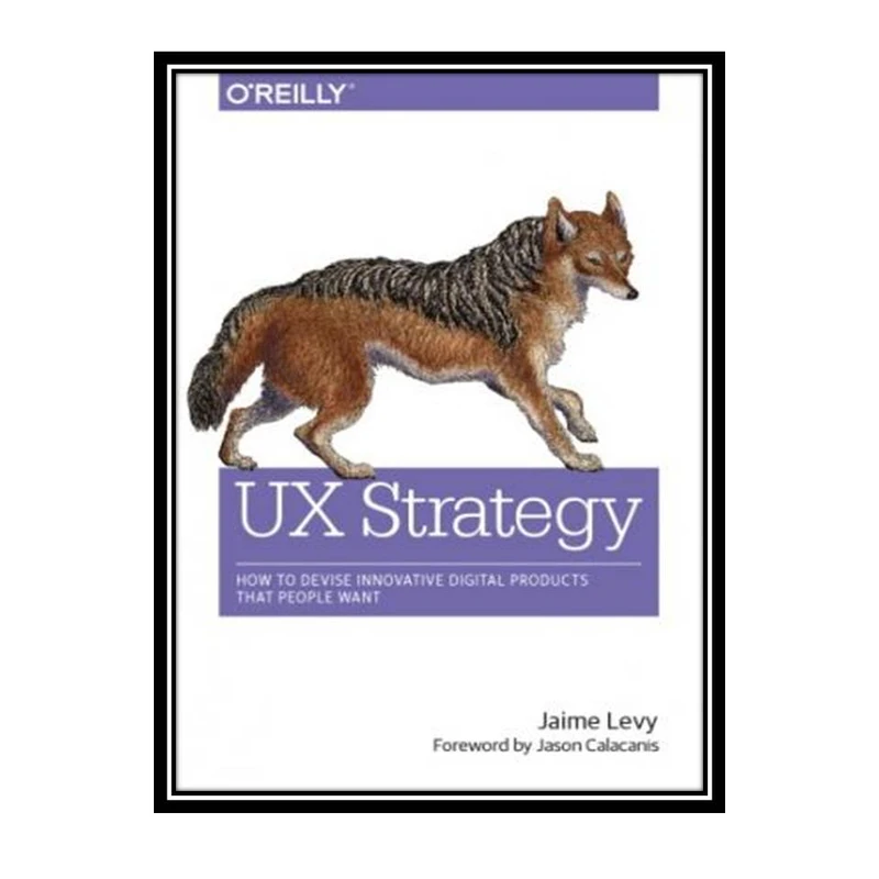 کتاب UX Strategy: How to Devise Innovative Digital Products that People Want اثر Jaime Levy انتشارات مؤلفین طلایی