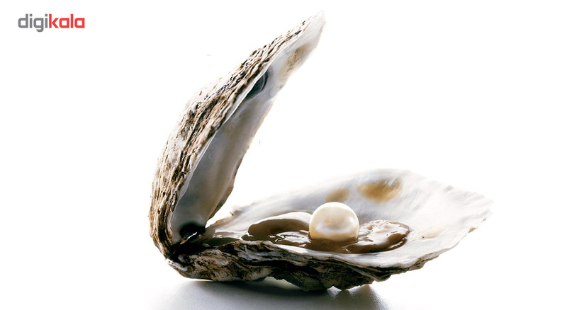 گردنبند زنانه مدل VK به همراه صدف مروارید دار گردنبند زنانه مدل VK به همراه صدف مروارید دار