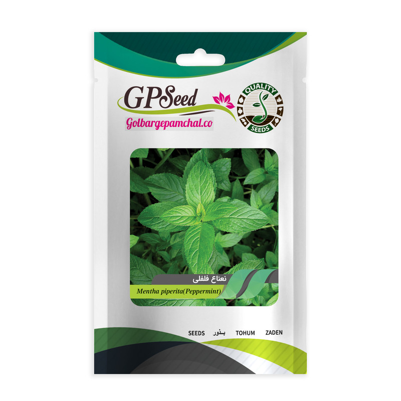 بذر نعناع و نعناع فلفلی گلبرگ پامچال کد GPF-329-278 مجموعه 2 عددی