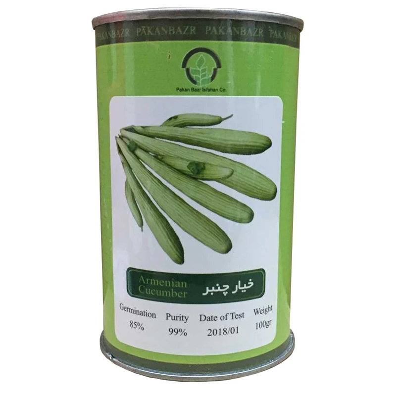 بذر خیار چنبر پاکان بذر مدل PB100G-04