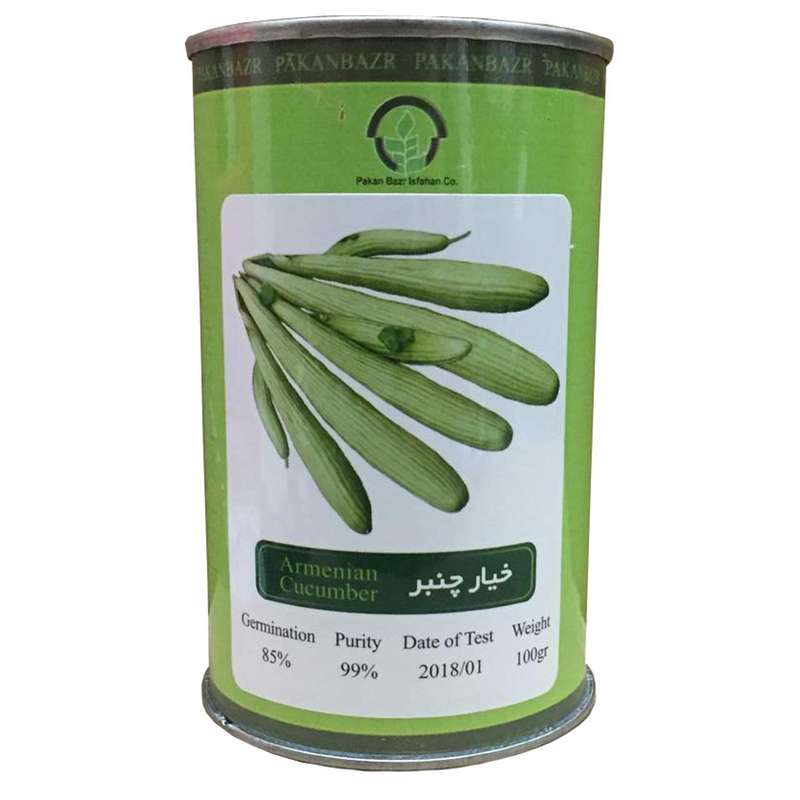 بذر خیار چنبر پاکان بذر مدل PB100G-04 بذر خیار چنبر پاکان بذر مدل PB100G-04