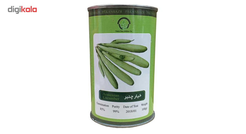 بذر خیار چنبر پاکان بذر مدل PB100G-04