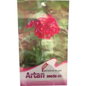 بذر گل آرتان مدل قرنفل بسته 20 گرمی
