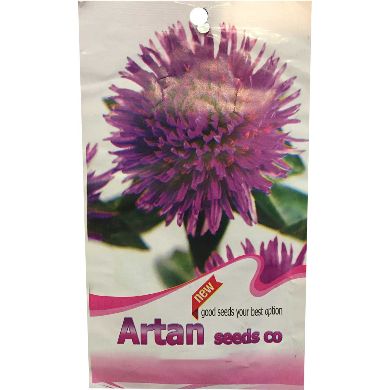 بذر گل آرتان مدل دکمه ای ارغوانی بسته 20 گرمی