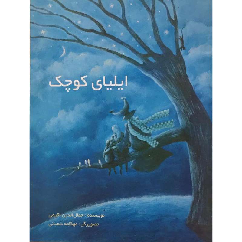 کتاب ایلیای کوچک اثر جمال الدین اکرمی انتشارات پیک ادبیات