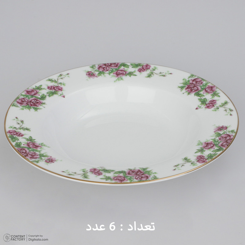 سرویس غذاخوری 28 پارچه چینی زرین ایران سری ایتالیا اف مدل Bidgol درجه یک سرویس غذاخوری 28 پارچه چینی زرین ایران سری ایتالیا اف مدل Bidgol درجه یک