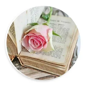 دیوارکوب طرح کتاب و گل های رز مدل wtb223