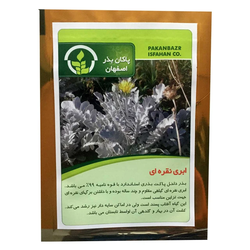 بذر گل ابری نقره ای پاکان بذر مدل PBGol-136
