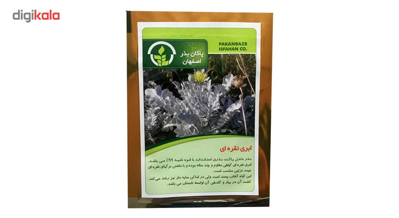 بذر گل ابری نقره ای پاکان بذر مدل PBGol-136 بذر گل ابری نقره ای پاکان بذر مدل PBGol-136