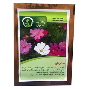 بذر گل ستاره ای پاکان بذر PBGol-134