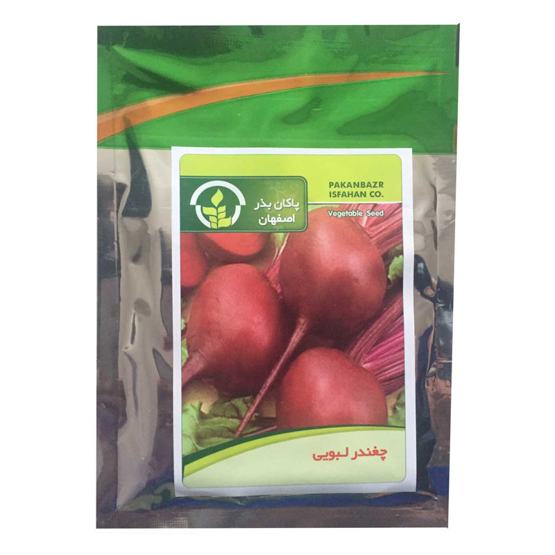 بذر چغندر لبویی پاکان بذر مدل PBF-37