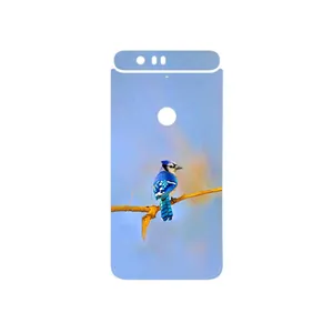 MAHOOT Cyanocitta cristata Cover Sticker for Google Nexus 6P