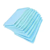پد بهداشتی حیوانات مدل Eco_10 برای سگ و گربه، بسته 10 عددی با ابعاد 90&times;60 سانتی&zwnj;متر، چند لایه با پودر جاذب و بوگیری مناسب، وزن 400 گرم
