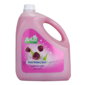 مایع دستشویی صحت مدل Raspberry مقدار 4000 گرم