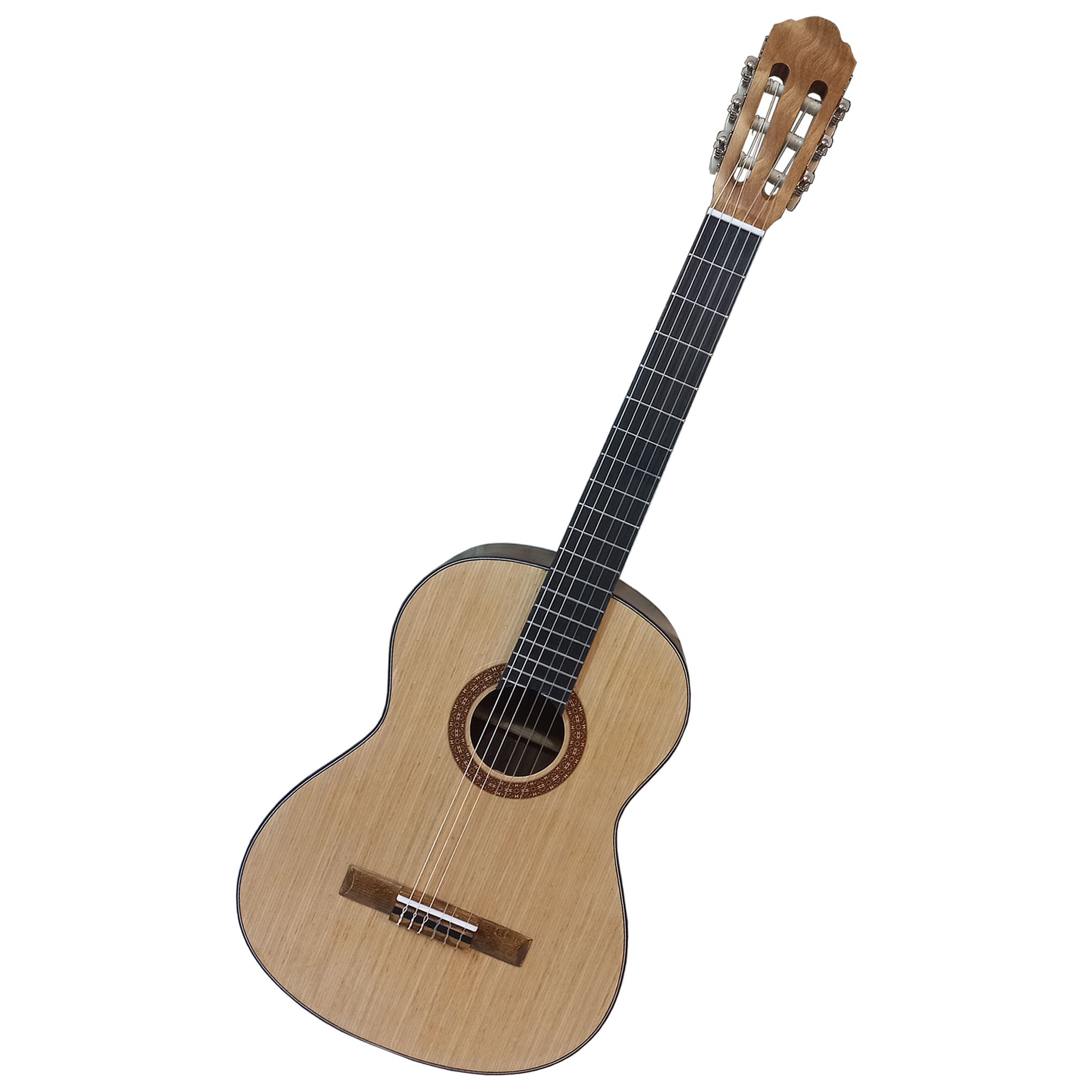 گیتار کلاسیک والنسیا مدل A750