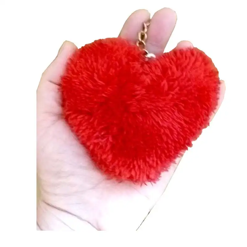 جاکلیدی مدل قلب کد P-017