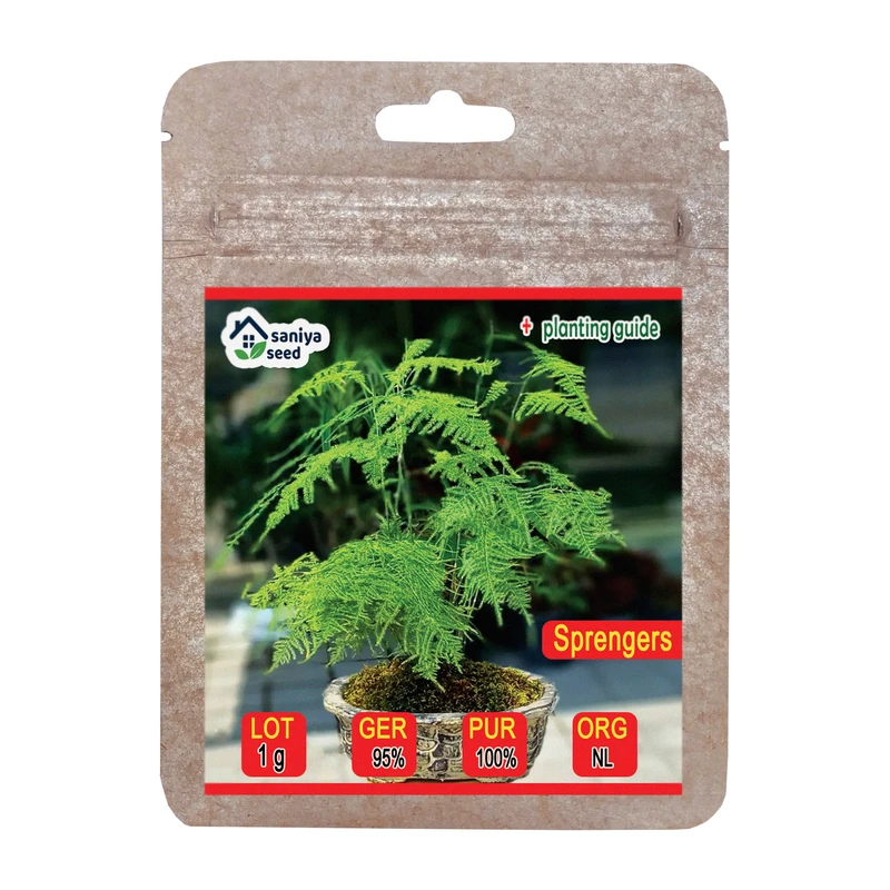 بذر گل شویدی (مارچوبه زینتی) سانیا سید مدل S119