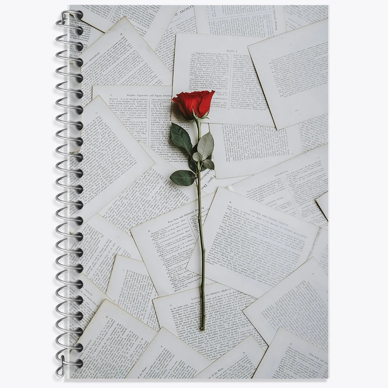 دفتر زبان 50 برگ خندالو مدل سه خط طرح مفهومی کد F12