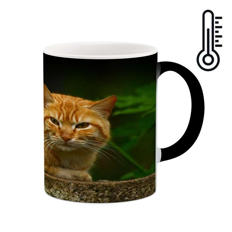 ماگ حرارتی کاکتی مدل گربه کد mgh16102