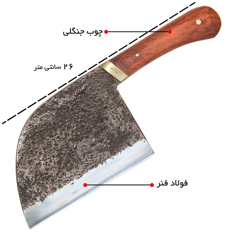 عکس شماره 5