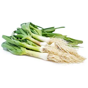 سیر تازه با برگ - 0.5 کیلوگرم