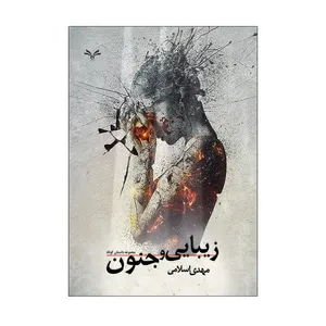 کتاب زیبایی و جنون اثر مهدی اسلامی انتشارات نامه مهر 