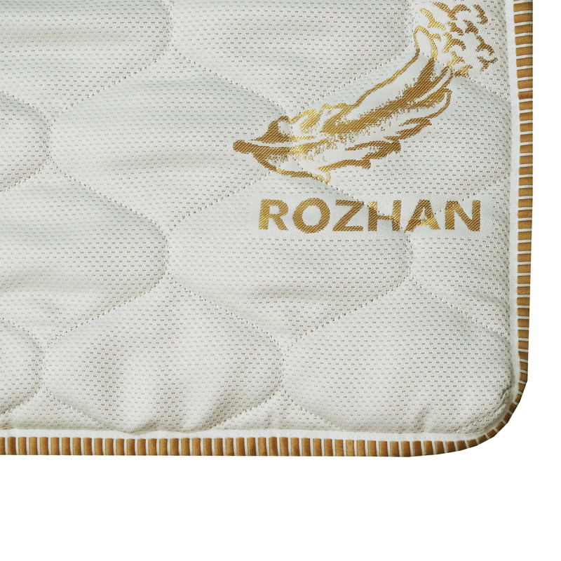 تشک مهمان روژان مدل اسلیپ پلاس سایز 190x90 سانتیمتر تشک مهمان روژان مدل اسلیپ پلاس سایز 190x90 سانتیمتر