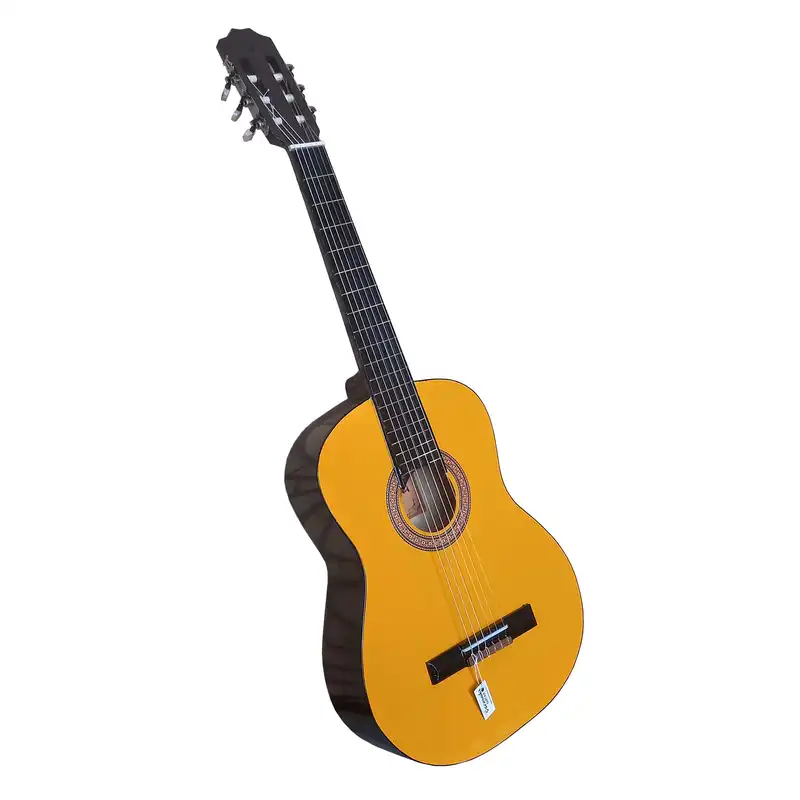 گیتار مدل B4