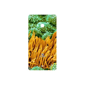 MAHOOT Atom Universe 6 Cover Sticker for Microsoft Lumia 540