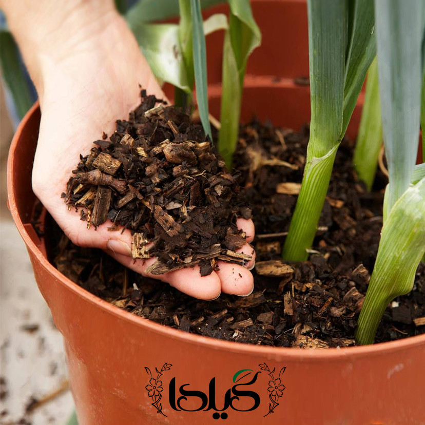 مالچ گیلدا کد GM04L حجم 4 لیتر