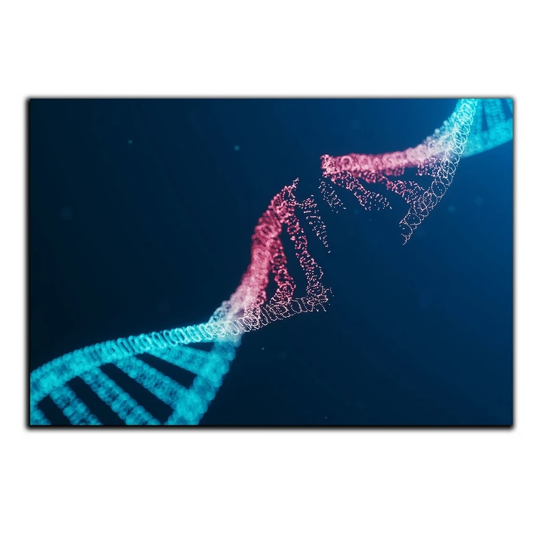 تابلو شاسی بکلیت طرح ژنوم و ژن مدل SH-S5023