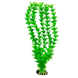 گیاه تزیینی آکواریوم کد 001