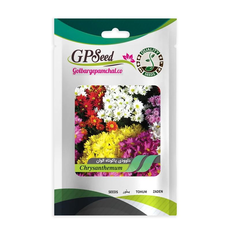 بذر گل داوودی پا کوتاه الوان جی پی سید مدل GP23986