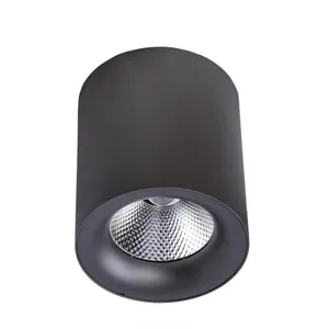 چراغ سقفی 20 وات مدل استوانه COB