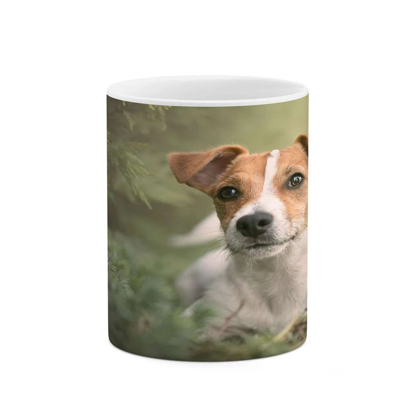 ماگ کاکتی مدل سگ کد mgh16410