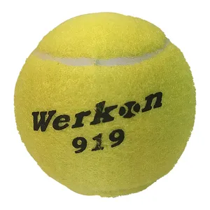 توپ بازی سگ و گربه مدل Werkon 919