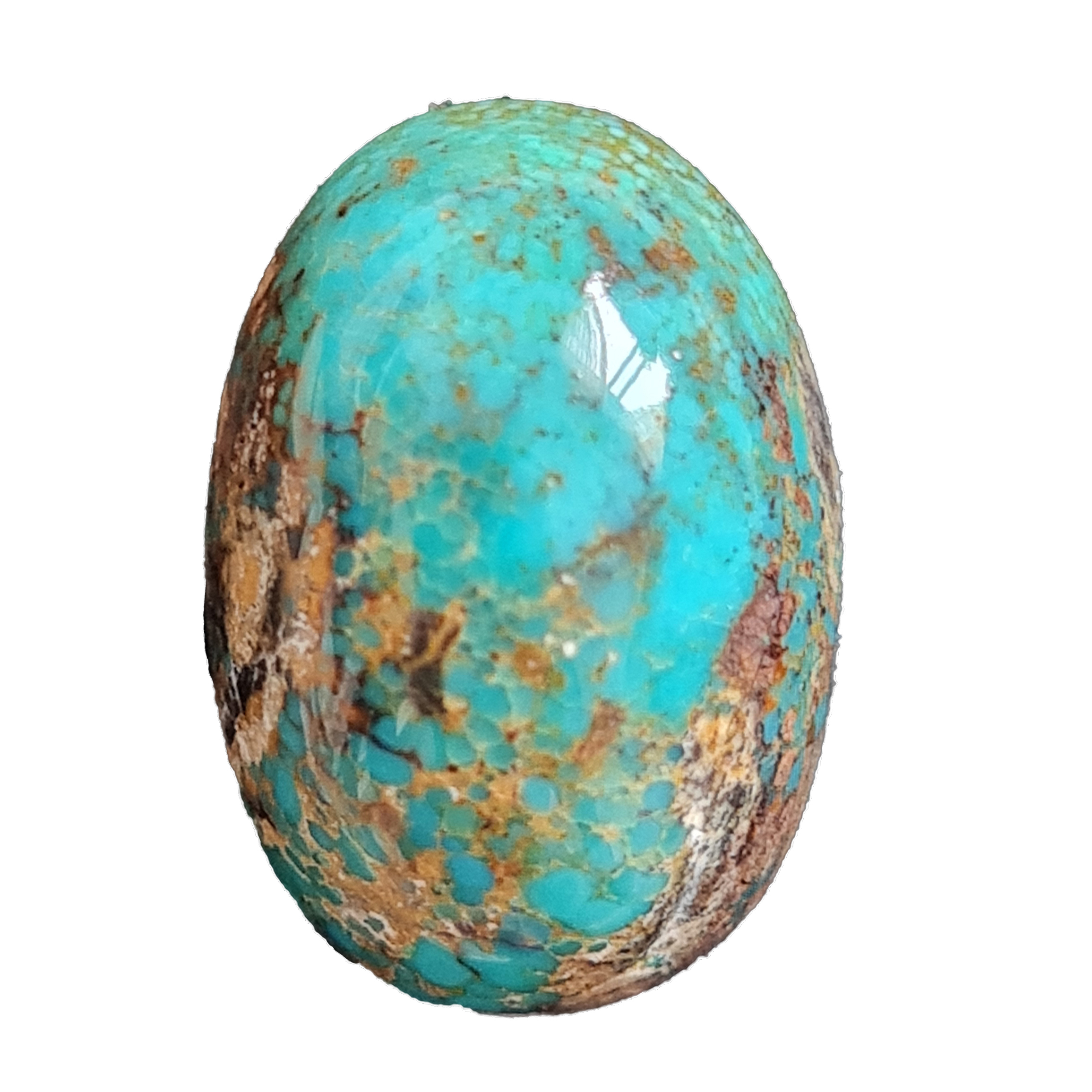 سنگ فیروزه شجر نیشابوری کد 502