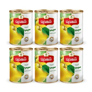کمپوت سیب شهدین - 370 گرم بسته 6 عددی