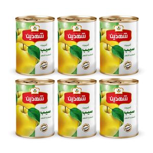 کمپوت سیب شهدین - 370 گرم بسته 6 عددی