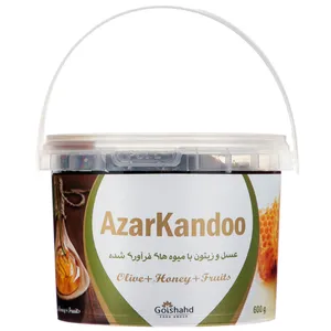 عسل و زیتون با میوه های فرآوری شده آذرکندو - 600 گرم