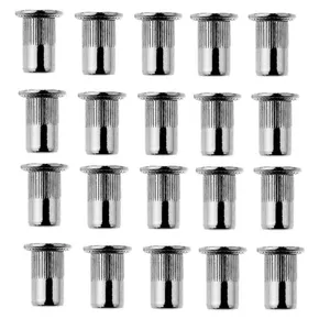 مهره پرچ پایا مدل لبه دار M6 کد PAYA69 مجموعه 20 عددی