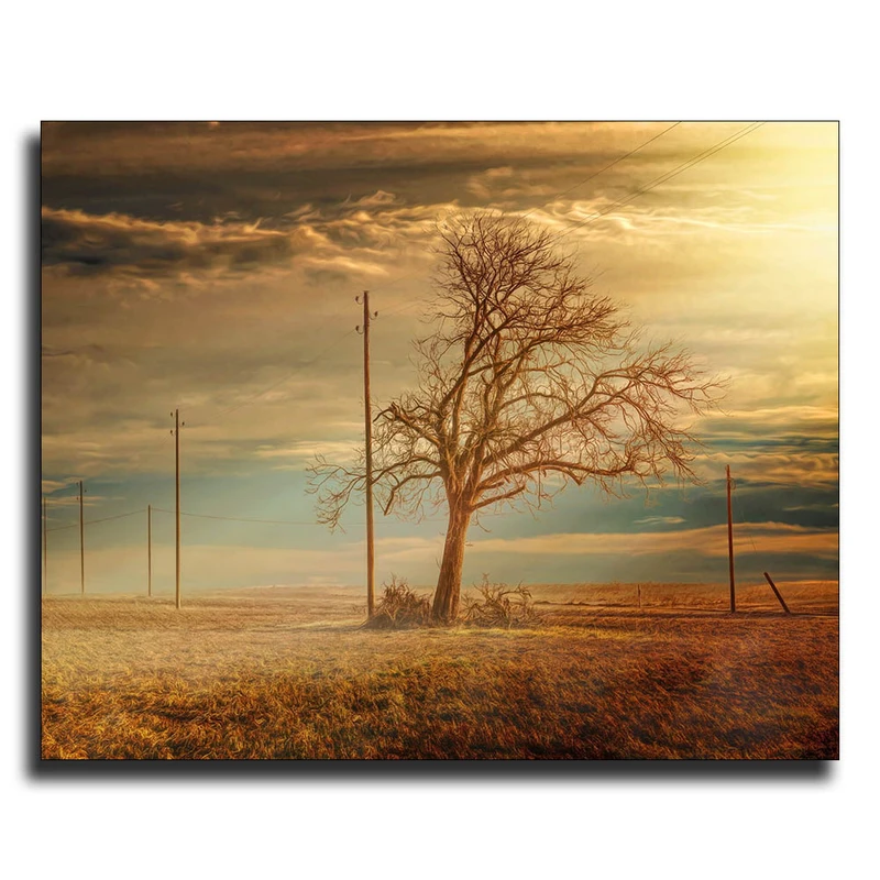 تابلو شاسی تکس پیک مدل E 14