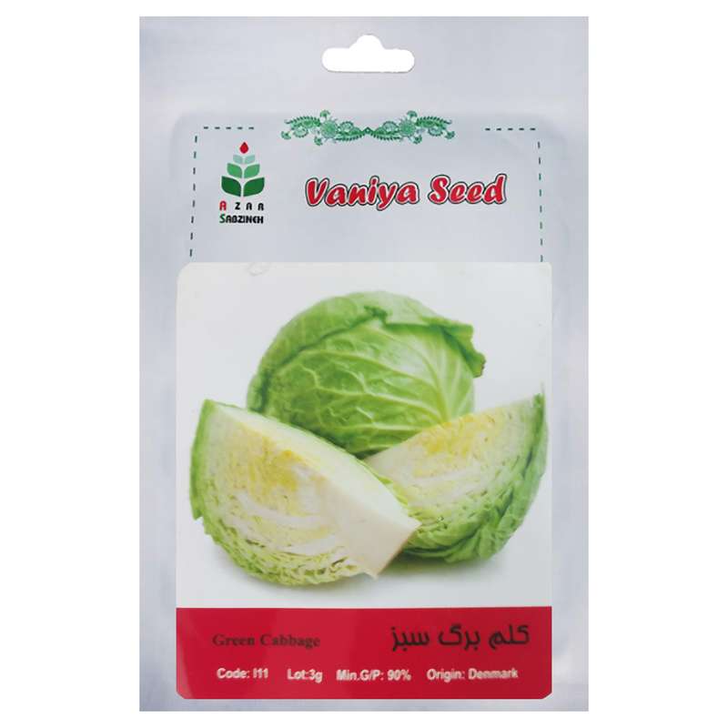 بذر کلم برگ سبز آذر سبزینه مدل A123