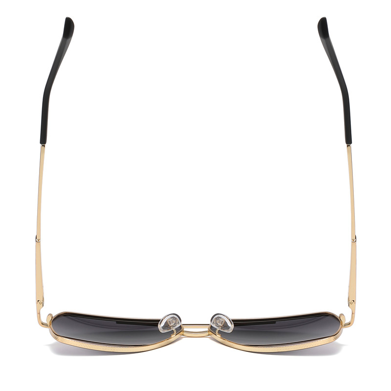 عینک آفتابی مردانه آلبرت وگ مدل JS8550C02-P63 Polarized Avantgarde Visionary