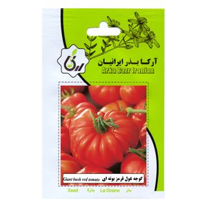 بذر گوجه قول قرمز بوته ای آرکا بذر ایرانیان کد ARK-164