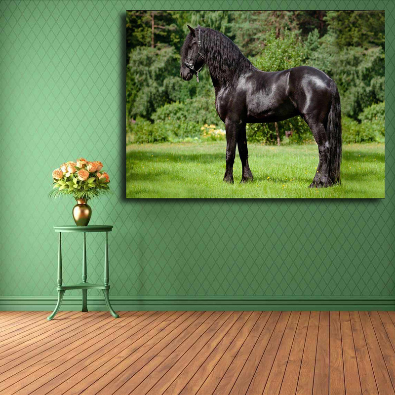 تابلو شاسی مدل اسب کد 6