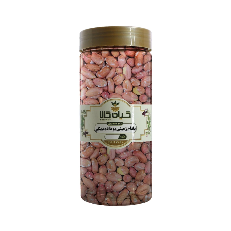 بادام زمینی بوداده نمکی سبزوار گیاه کالا - 50 گرم