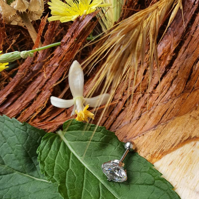 پیرسینگ گوش زنانه پایتخت مدل PS274 پیرسینگ گوش زنانه پایتخت مدل PS274